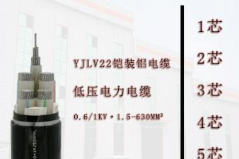 YJV22铠装铝电缆 